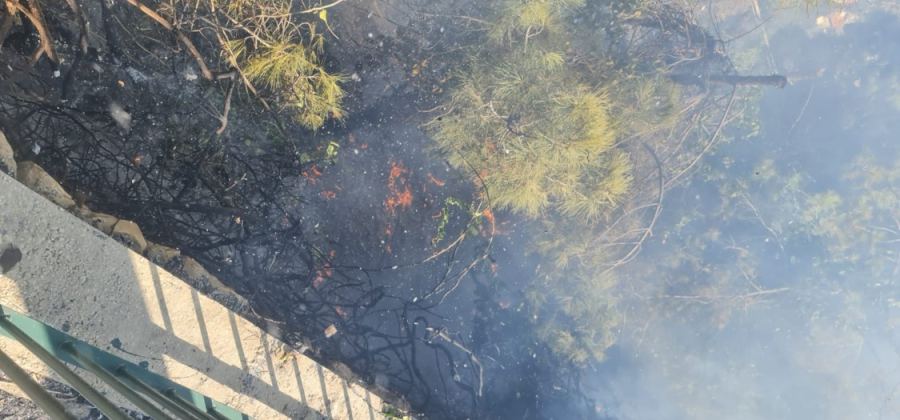  اندلاع حريق في منطقة مفتوحة في حيفا 